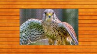 Whispers of Wings Jigsaw Puzzles screenshot, image №4204837 - RAWG