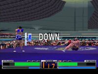 K-1 The Arena Fighters screenshot, image №2420443 - RAWG