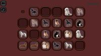 Animals Memory: Dogs screenshot, image №714021 - RAWG