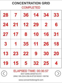 Concentration Grid screenshot, image №2221531 - RAWG