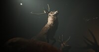 Project 13: Taxidermy Trails screenshot, image №4017905 - RAWG