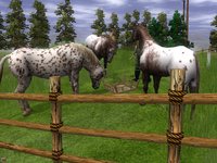 Wildlife Park 2: Horses screenshot, image №493894 - RAWG