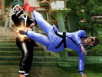 Karate Fighting Art - Kung Fu Ninja Tiger actions screenshot, image №926657 - RAWG