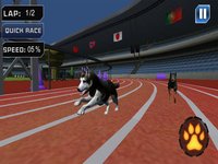 Extreme Crazy Dog Race 3D 2018 screenshot, image №1677899 - RAWG