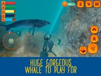 Hump Back Whale Ocean Sim screenshot, image №2164992 - RAWG