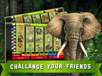 Slot Machines: Book of Mystery Jungle – Play Casino Treasure Tournaments screenshot, image №1647374 - RAWG