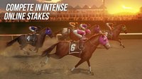 Photo Finish Horse Racing screenshot, image №1484267 - RAWG