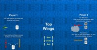 Top Wing screenshot, image №1825400 - RAWG