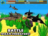 Wildlife Simulator: Shark screenshot, image №1968080 - RAWG