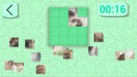 Ultimate Puzzles Animals 5 screenshot, image №2964997 - RAWG