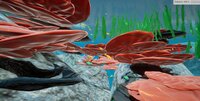 Coralland screenshot, image №4236861 - RAWG