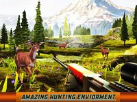 Deer Hunter - Big Buck Hunter screenshot, image №1634271 - RAWG