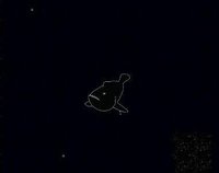 Anglerfish Simulator screenshot, image №1680309 - RAWG