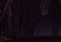 The forbidden Dark Lost Woods screenshot, image №3627171 - RAWG