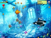 Feeding Fish Frenzy screenshot, image №1763549 - RAWG