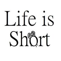 Life is Short (mmenke) screenshot, image №3755694 - RAWG