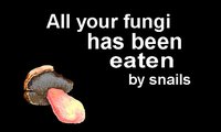 Fungus Time screenshot, image №1257899 - RAWG