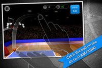 Natural Basketball Free screenshot, image №1802732 - RAWG