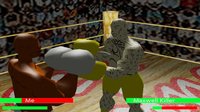 Teck Boxing 3D screenshot, image №1660233 - RAWG