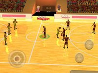 3D Basketball International Championship screenshot, image №976866 - RAWG