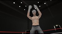 The Thrill of the Fight - VR Boxing screenshot, image №96375 - RAWG