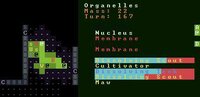 Amoeba Roguelike screenshot, image №2756693 - RAWG