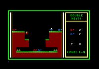 Double Keys! screenshot, image №3096859 - RAWG