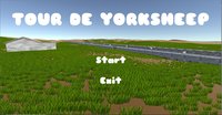 Tour De Yorksheep screenshot, image №1851341 - RAWG