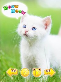 cute animal pictures & sounds screenshot, image №1580322 - RAWG