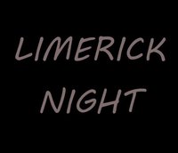Limerick Night screenshot, image №2222227 - RAWG