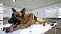 My Life: Pet Vet screenshot, image №3690034 - RAWG
