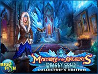 Mystery of the Ancients: Deadly Cold HD - A Hidden Object Adventure screenshot, image №1812501 - RAWG