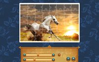 1001 Jigsaw. 6 Magic Elements screenshot, image №2013343 - RAWG
