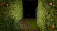 The Candyman screenshot, image №2582466 - RAWG