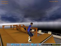 Ultimate Skateboard Park Tycoon screenshot, image №315625 - RAWG