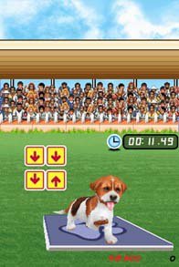 Me And My Dogs: Friends Forever screenshot, image №783458 - RAWG