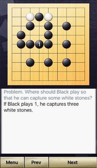 How to play Go "Beginner's Go" screenshot, image №2081969 - RAWG