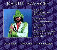 WWF Royal Rumble screenshot, image №760988 - RAWG