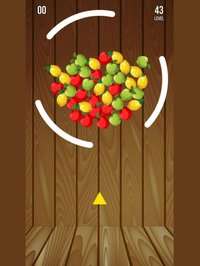Touch and Shot! screenshot, image №1970720 - RAWG