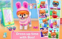 Boo - The World's Cutest Dog screenshot, image №1540006 - RAWG