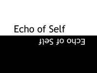 Echo of Self screenshot, image №3215200 - RAWG