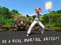 Karate Do Fighting Tiger 3D screenshot, image №908296 - RAWG