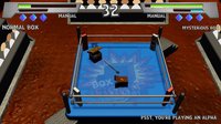 Box Fight Tournament screenshot, image №2390612 - RAWG