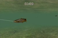 Reel Fishing Challenge screenshot, image №247302 - RAWG