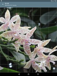 Jigsaw Puzzle: Flowers screenshot, image №1497478 - RAWG