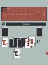 Cribbage vs Robots screenshot, image №1337919 - RAWG