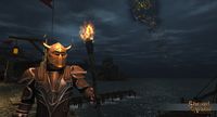 Shroud of the Avatar: Forsaken Virtues screenshot, image №71840 - RAWG