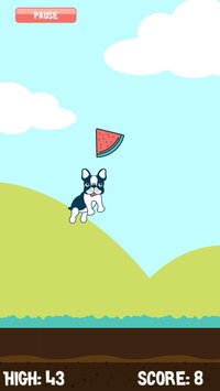 Watermelon Catch! screenshot, image №2677364 - RAWG