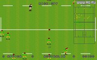 World Class Rugby '95 screenshot, image №344636 - RAWG