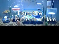 Hampture - The Measure of Ham screenshot, image №3007677 - RAWG